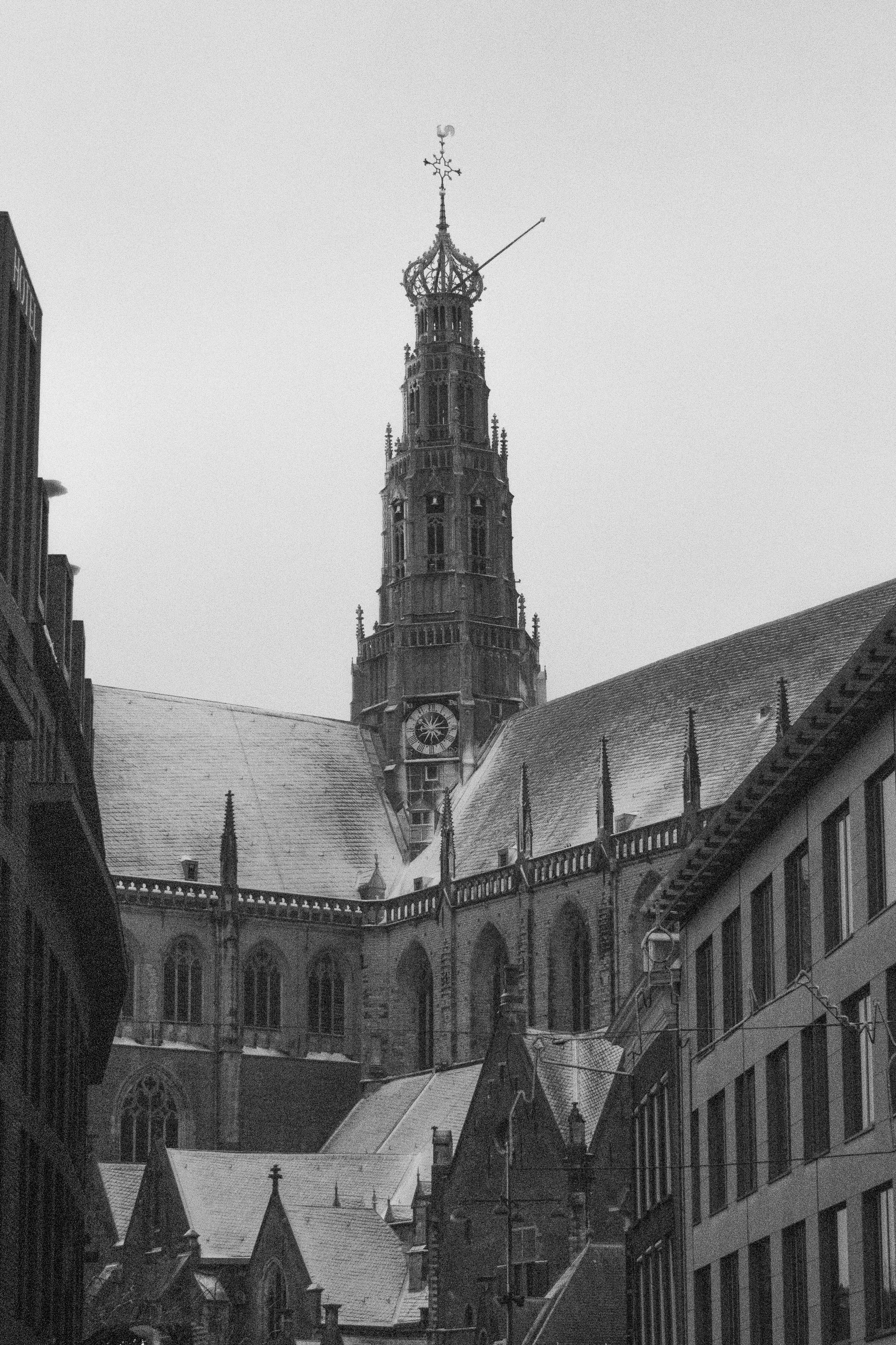 P1070094.jpg