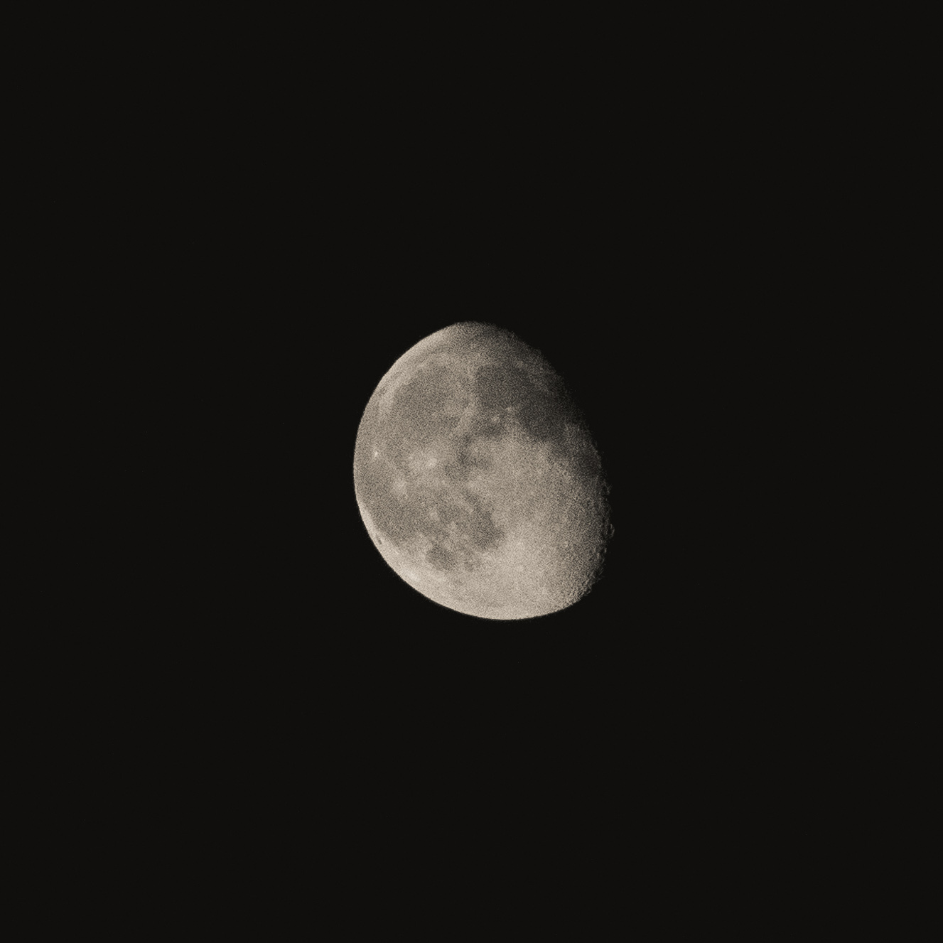 P9210142.jpg