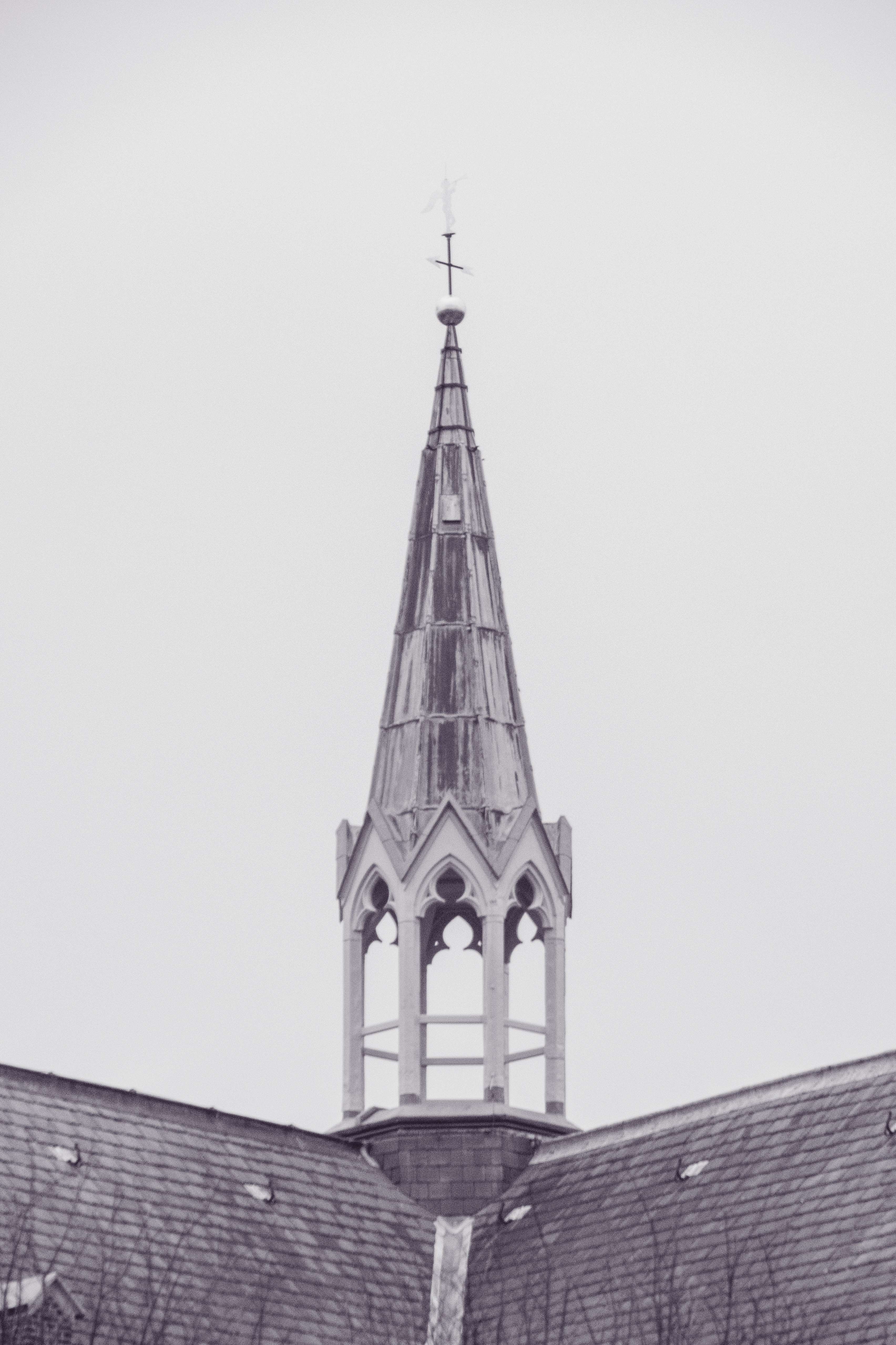 PA210299.jpg